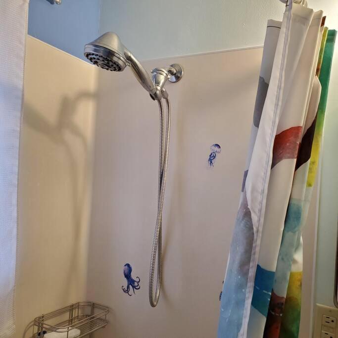 Sweet 2 Bedroom Close To U Of Oregon & Track! 尤金 外观 照片