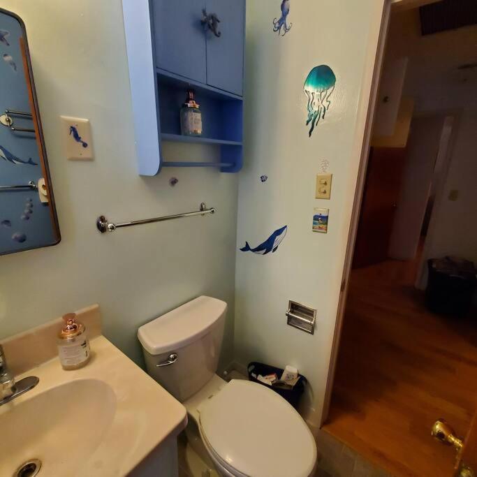 Sweet 2 Bedroom Close To U Of Oregon & Track! 尤金 外观 照片